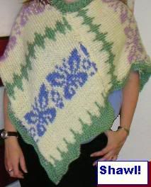 Butterfly Poncho 2