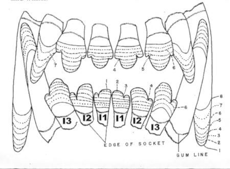 fe3f0597.jpg