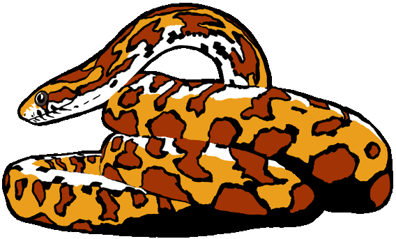 hayaicon.gif