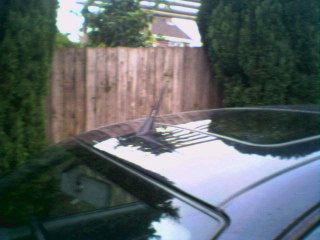 Photo0133.jpg