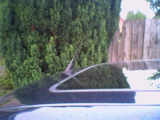 Photo0134.jpg