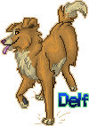 delfleapytoller-1.gif