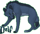 delfmanedwolf-1.gif