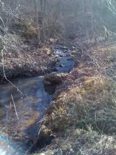 your dream property - Homesteading Questions