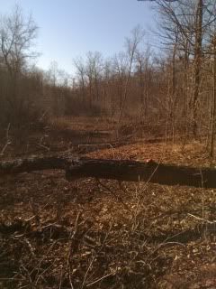 your dream property - Homesteading Questions