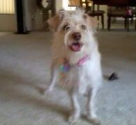 Photobucket Pictures, Images and Photos