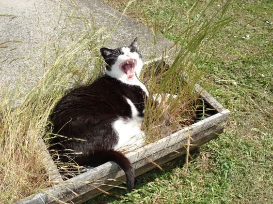 casey10.jpg