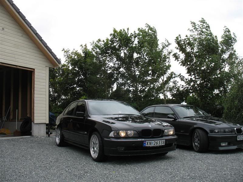IMG_5449Medium.jpg