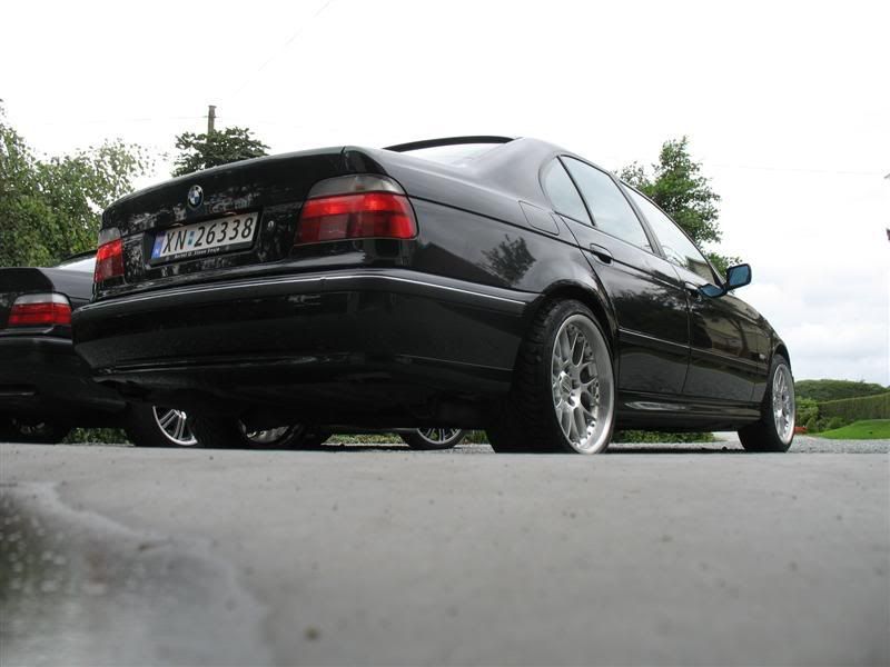 IMG_5454Medium.jpg