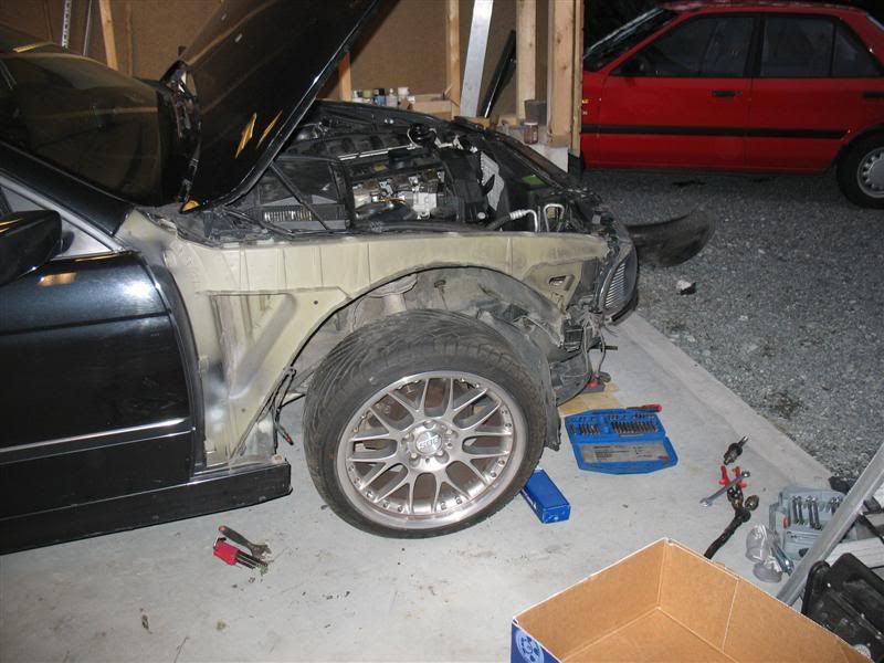 IMG_5487Medium.jpg