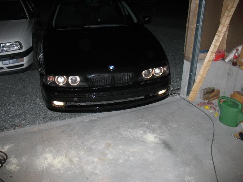 IMG_5518Medium.jpg