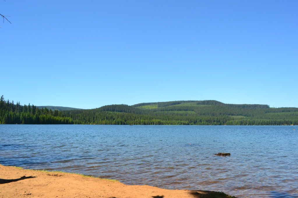 timothylake