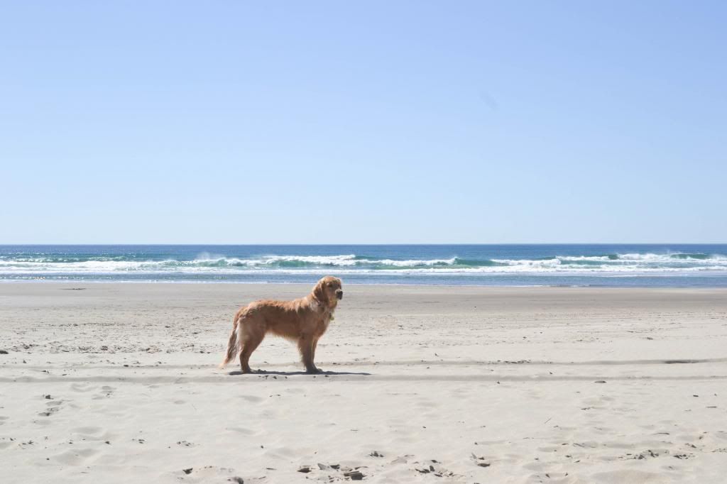 beachday