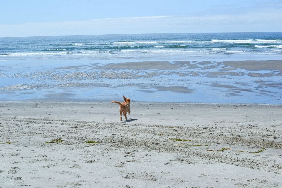 beachday