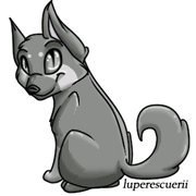 Blue_Lupine_Hunter