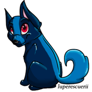Narkineth