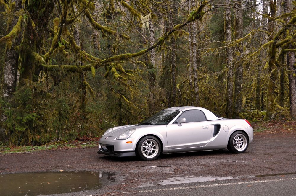  photo DSC_5356e_zpsb8f66717.jpg