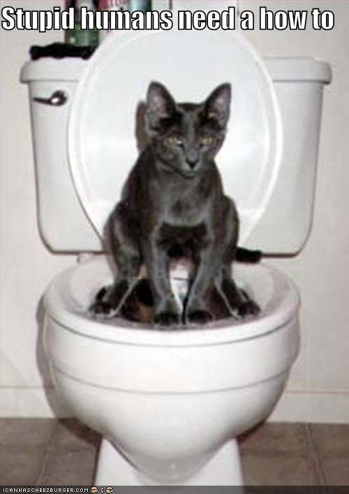 Kitteh potty