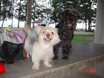 Image hosting by Photobucket