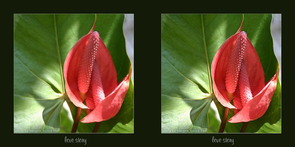 love_story.jpg