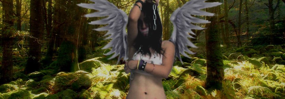Image hosted by Photobucket.com