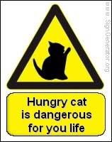 http://img.photobucket.com/albums/v602/pali1/hugry-cat-is-dangerous.jpg