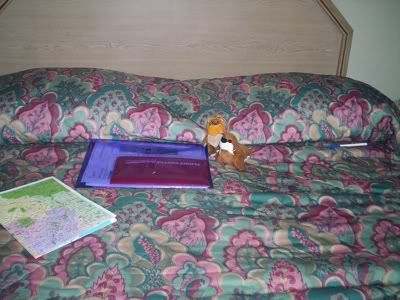 http://img.photobucket.com/albums/v602/saragoescrazy2/la%20burbank/toyvoyagers_hotelbed.jpg