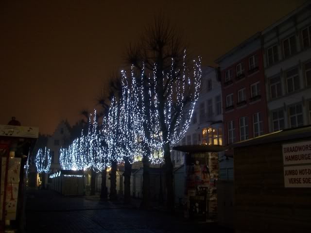 http://img.photobucket.com/albums/v602/snbafan/Christmas%20in%20Brugge%202006/bruggelights03.jpg