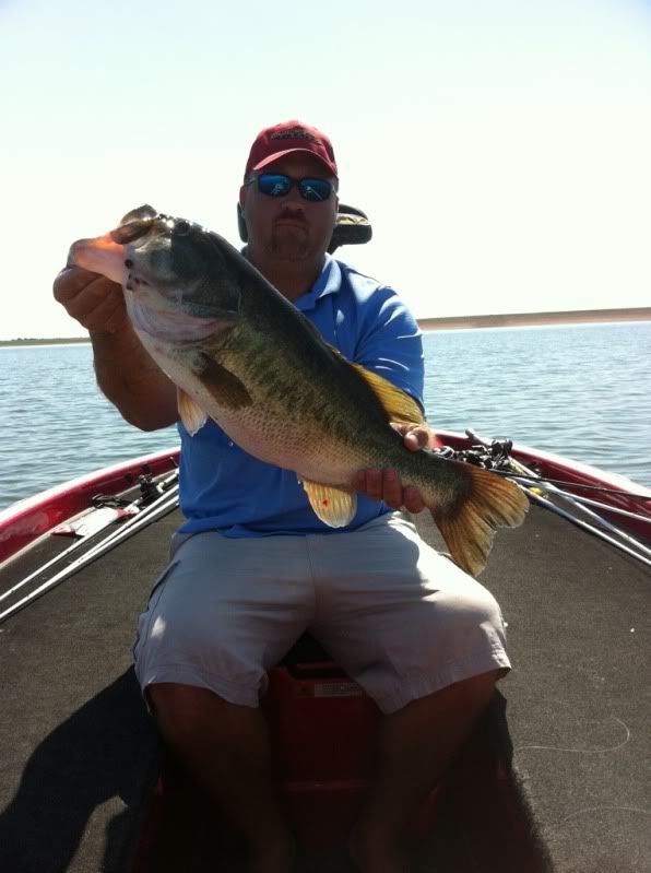 OH Ivie Summertime Fishing