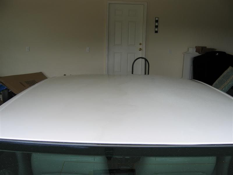 IMG_0384Medium.jpg