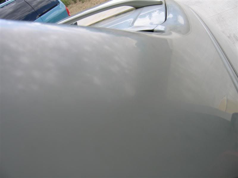 IMG_0388Medium.jpg