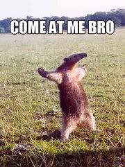 comeatmebro.jpg