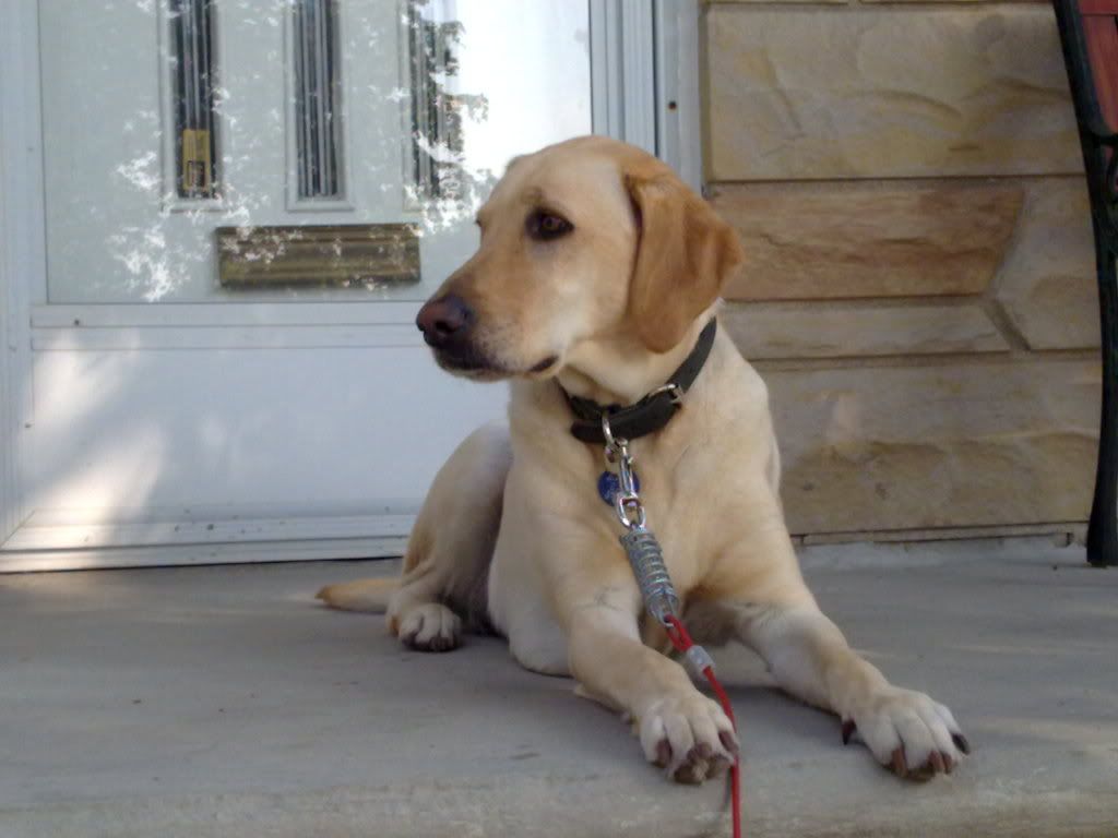26062009004.jpg