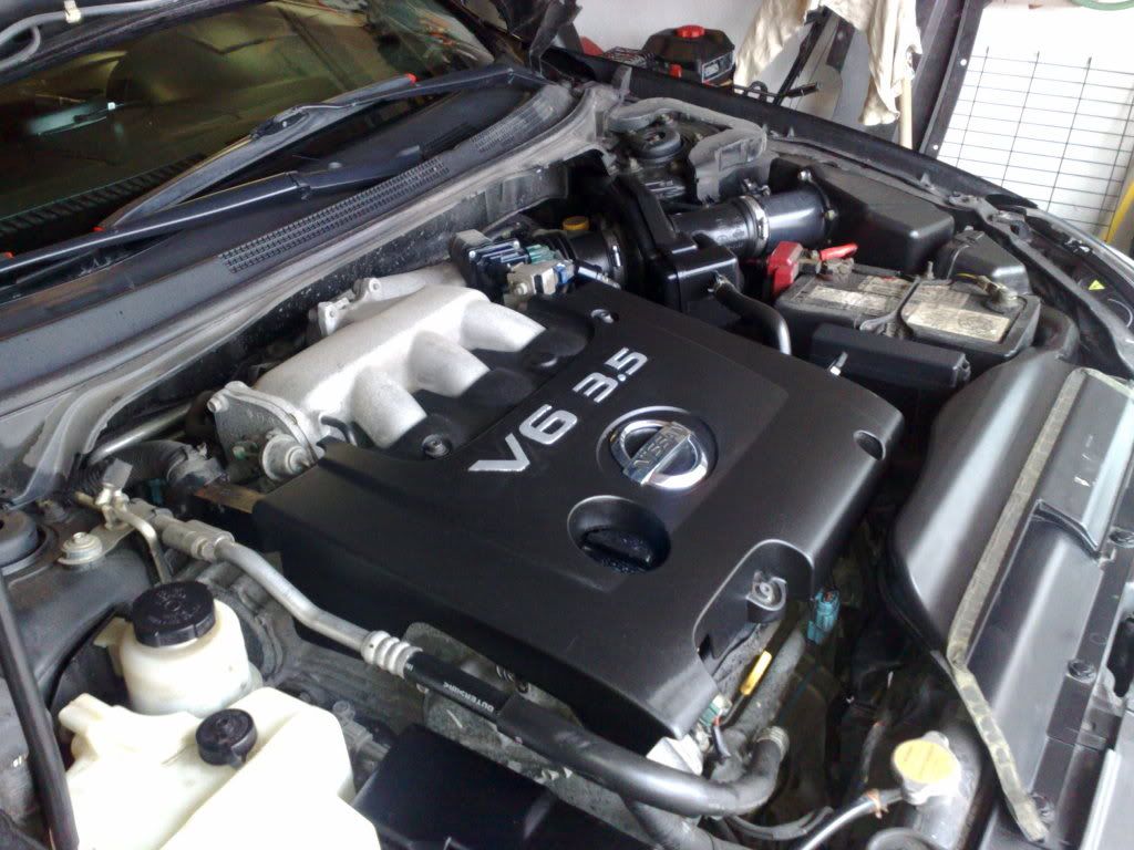 04082009063.jpg