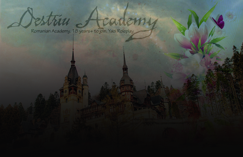 Destriu Academy