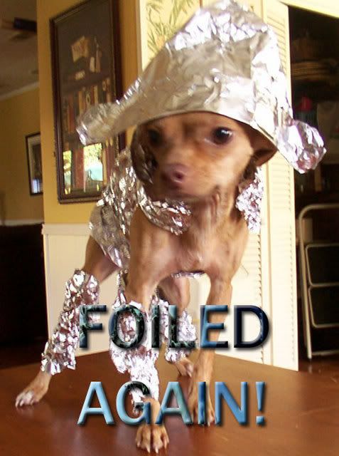 http://img.photobucket.com/albums/v603/Murray667/foiled.jpg