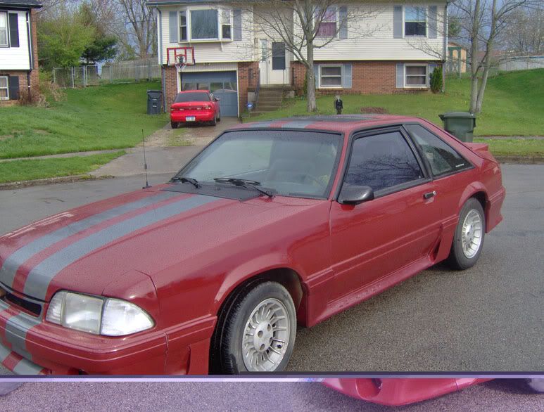 Mustang2003.jpg
