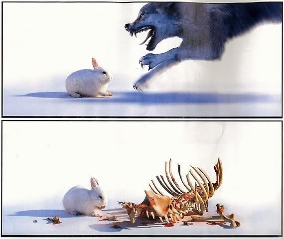 [Image: bunny-vs-wolf.jpg]