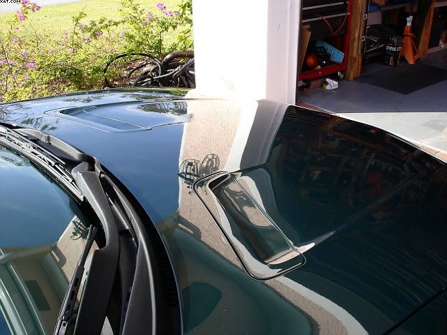 DSC00479.jpg