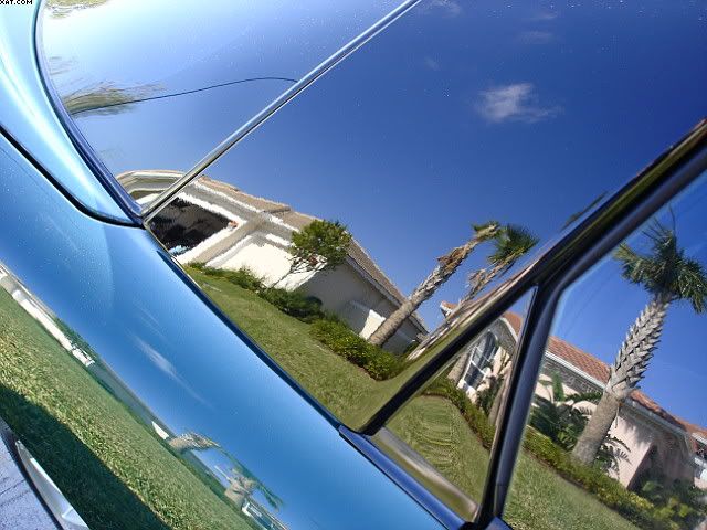 DSC00730.jpg