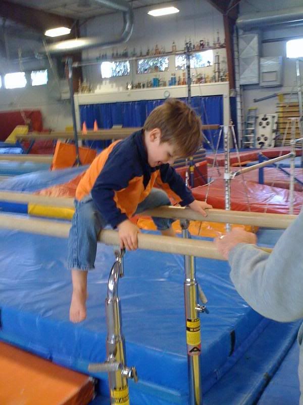 parallel bars