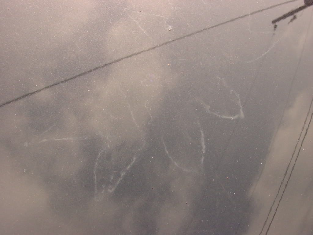 DSC00705.jpg