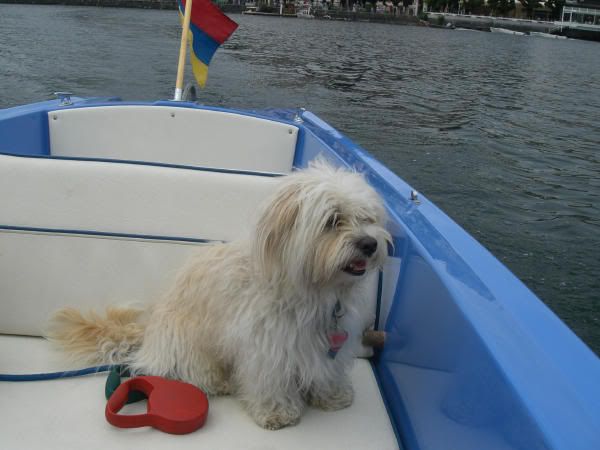 Snoopy-ersteBootsfahrt01-Gmunden-Ju.jpg