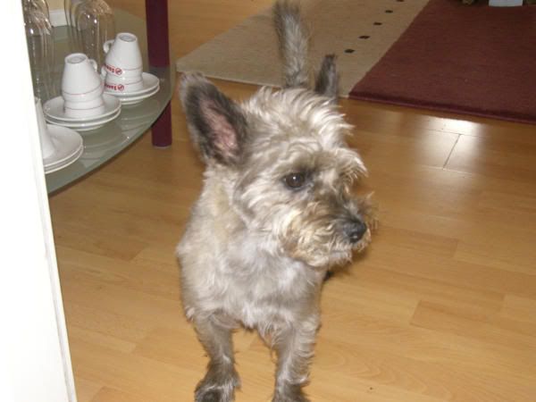 Timo-Gmunden07-August06.jpg