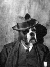 Woof!