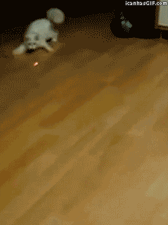 18c027edb28673e4b65d1f1a74c43972.jpg.gif