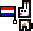 Netherlands Bunny Netherlands Bunny