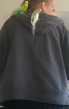 IMAG0354.jpg