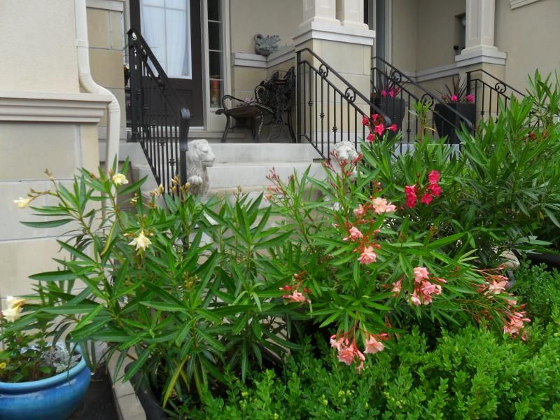 photo 002_zps0501c5ea.jpg