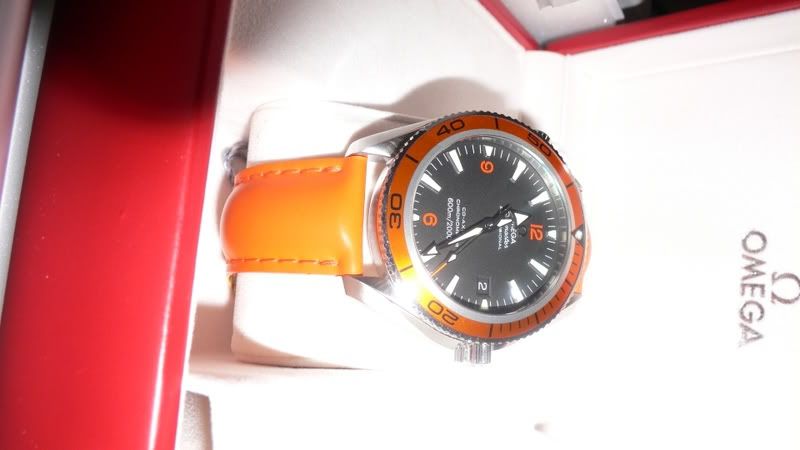 P1010118.jpg